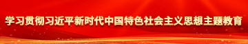 操中国女人穴伊人学习贯彻习近平新时代中国特色社会主义思想主题教育